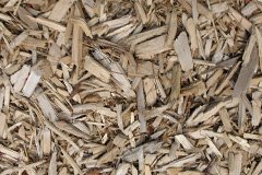 biomass boilers Scarr